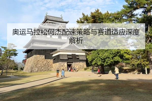 奥运马拉松何杰配速策略与赛道适应深度解析