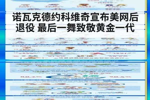 诺瓦克德约科维奇宣布美网后退役 最后一舞致敬黄金一代